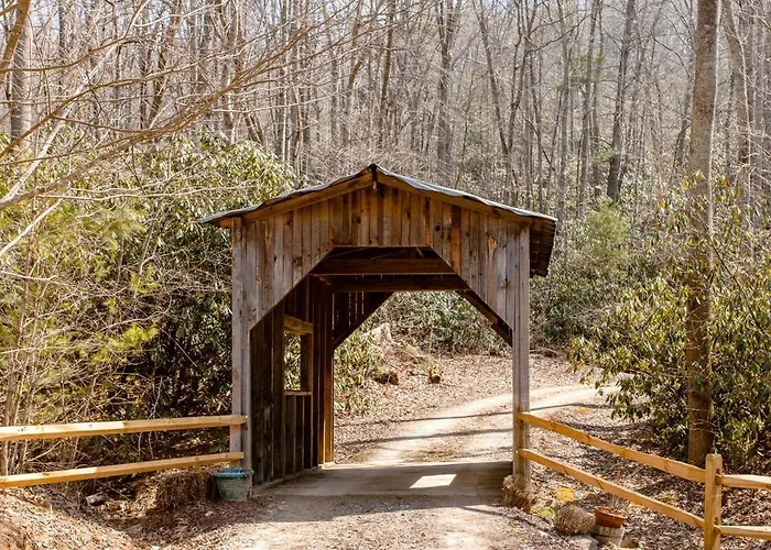 Willow Pond Cabin That Is Peaceful And Quiet